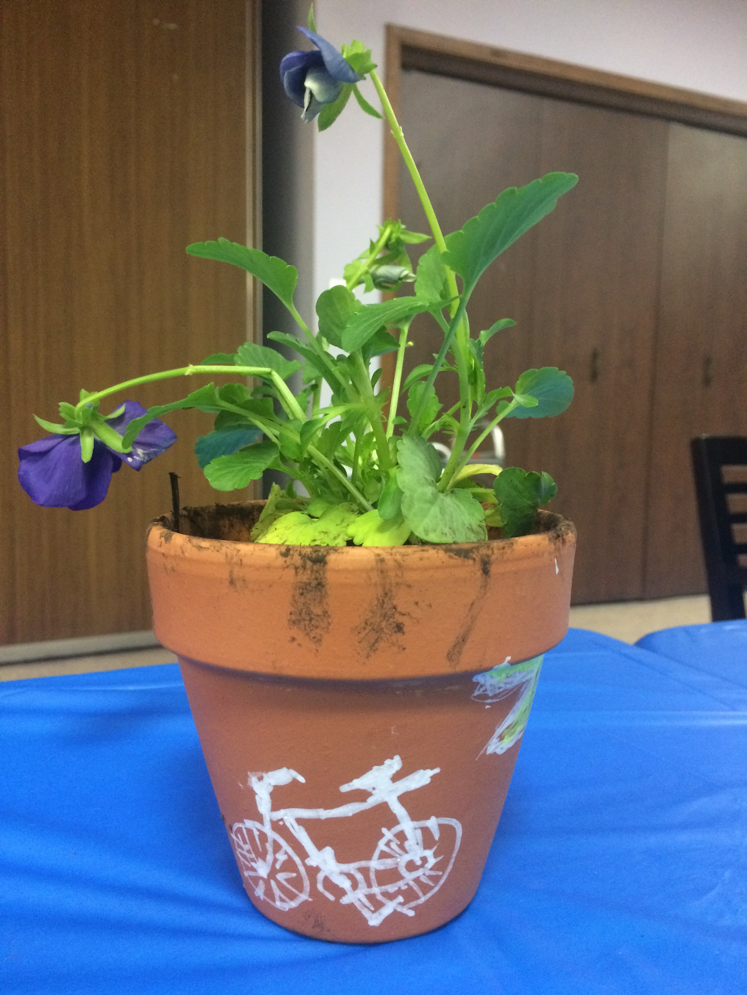 Retirement Research Foundation with JASC - Elders preparing for Spring by decorating pots and planting flowers as a way to talk about what they are looking forward to as the weather warms.